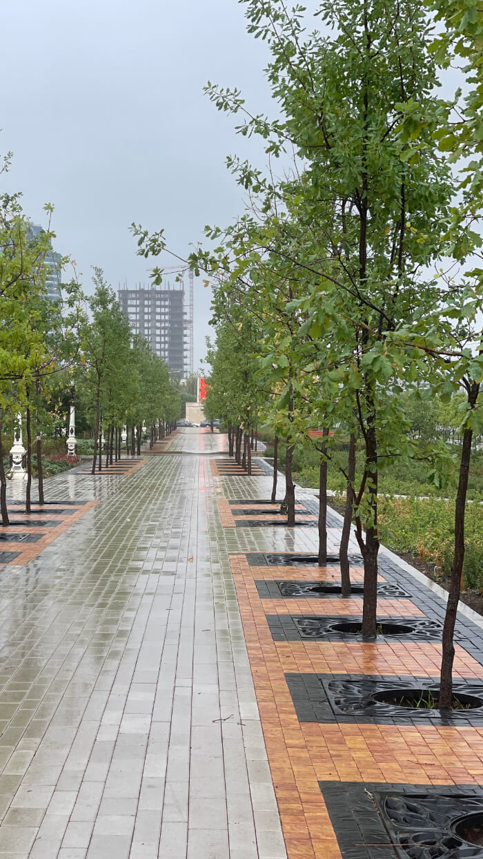 Приствольная решетка для дерева ZKING CRUST 1.2х1.2м Черная в Ставрополе фото