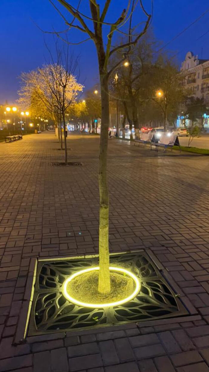 Приствольная решетка для дерева ZKING CRUST 1.2х1.2м Черная в Ставрополе фото